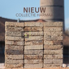 Кирпич Harmaa Beige grijs gesinterd