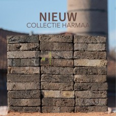Кирпич Harmaa Taupe grijs gesinterd