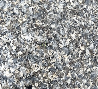 Плита для мощения Гранит Куксарай бежевый