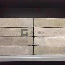 Плитка облицовочная 1560gedws